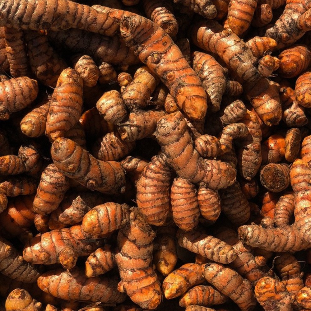 Lakadong Turmeric - Image 3